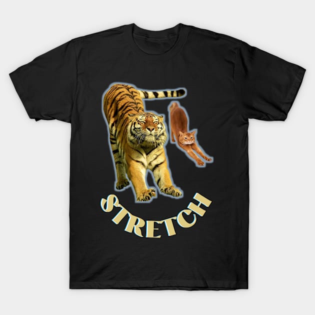 Stretch exercise by a tiger and a cat - gold text T-Shirt by Blue Butterfly Designs 